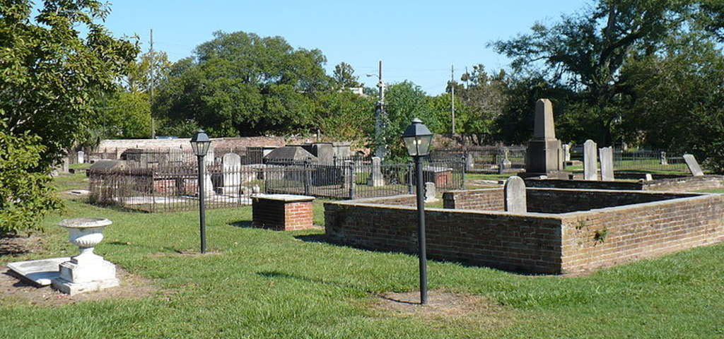 Boyington Oak | Church Street Graveyard | Mobile Alabama