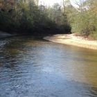 Mulberry Creek Alabama Gold