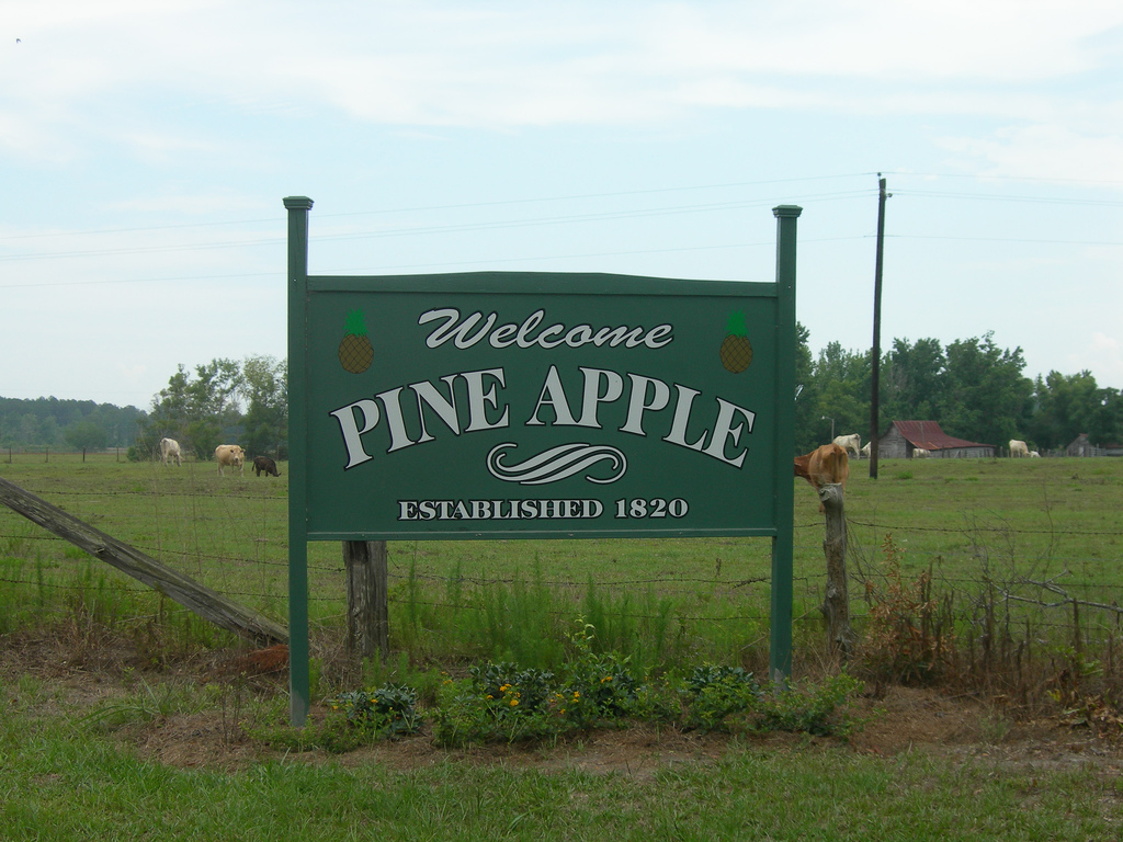 Digital Alabama Guide to Pine Apple Alabama
