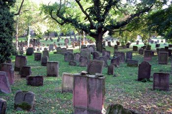 Little Vine Cemetery in Empire Alabama