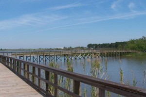 Meaher State Park Spanish Fort Alabama