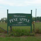 Digital Alabama Guide to Pine Apple Alabama