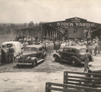 Clarke County Stock Yard in Grove Hill, Alabama